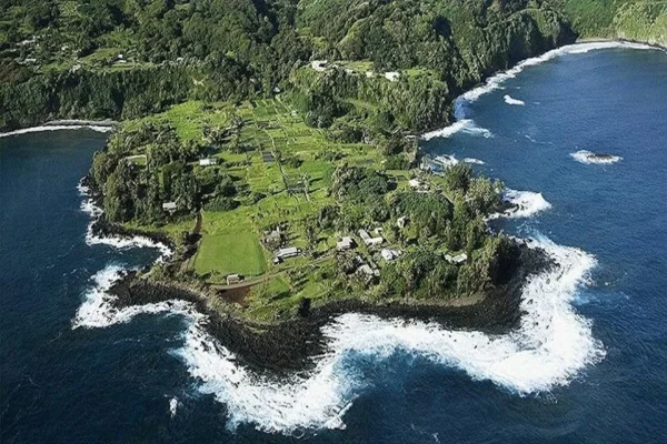 84 Road to Hana Deluxe Rainforest and Waterfall Experience Departing from Oahu