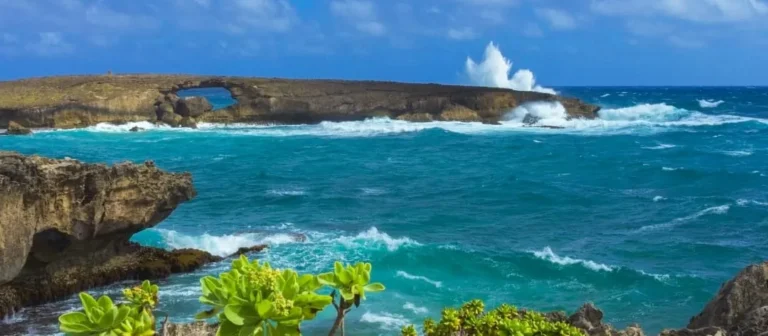 Pearl Harbor and Mini Circle Island Tour Departing from Waikiki Area