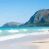 Oahu Grand Circle Island, Dole  Plantation, and Macadamia Farms Tour Departing from Kauai