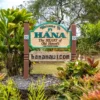 Road to hana tour