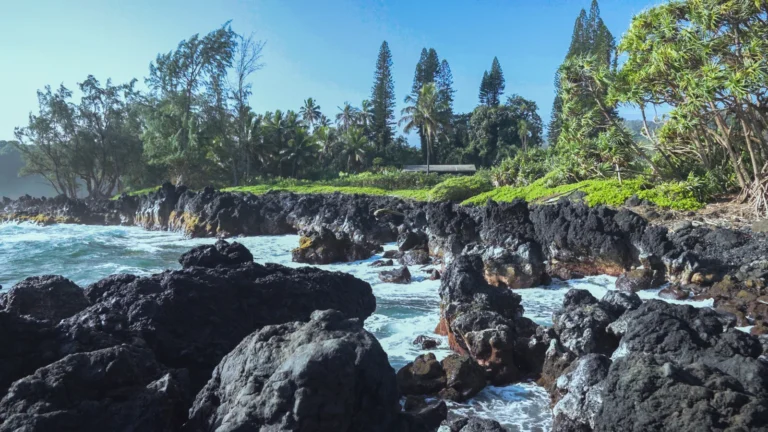 Road to Hana Deluxe Rainforest and Waterfall Experience Departing from Maui