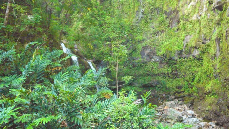 Road to Hana waterfall in the Maui rainforest